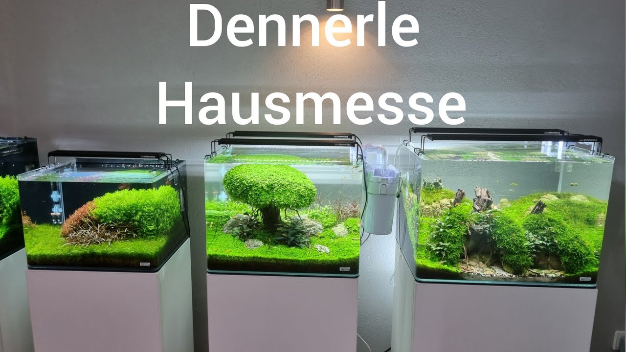 Pfalz Tour mit Dennerle Hausmesse