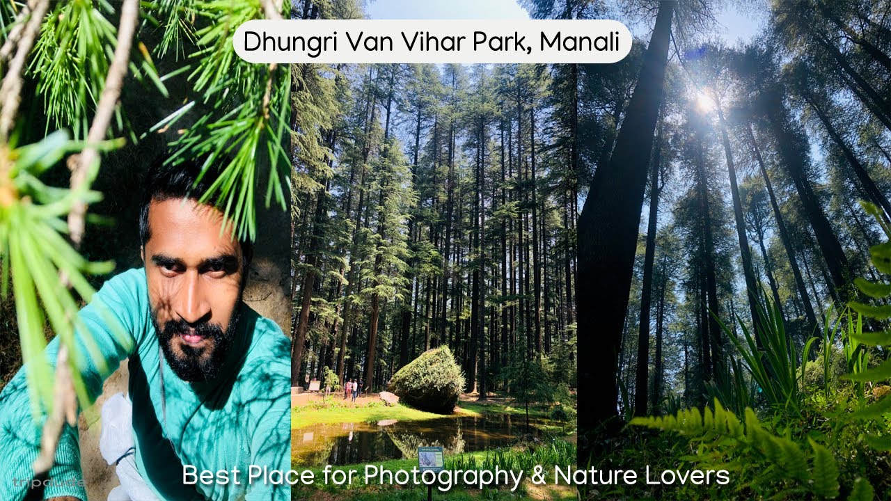 Visit to Beautiful Dhungri Van Vihar Park in Manali ❤️ Himachal Trip EP9
