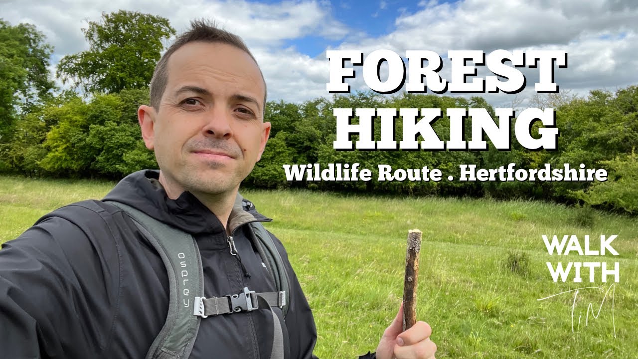 Forest Hiking in Ashridge Estate - Wildlife Route | Walk with Tim