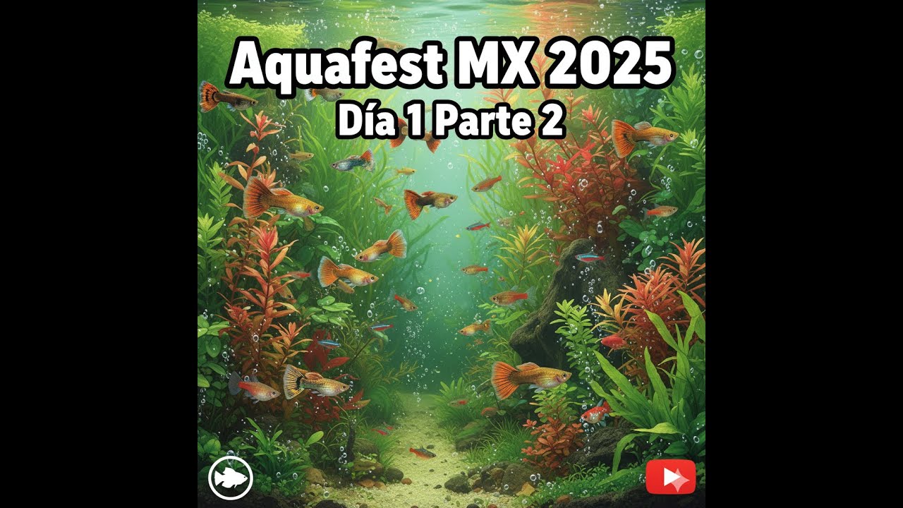 Fui al evento de acuarios más grande y encontré ESTO...