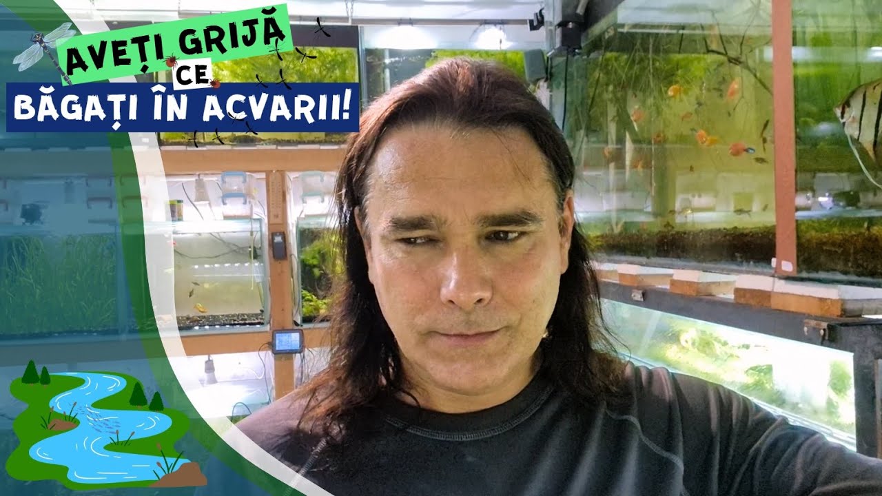 Vlog #37 | Ce creaturi traiesc in apa si pe plantele din Dunare