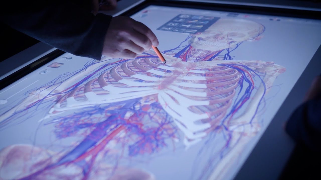 The Flicker Virtual Anatomy and Dissection Lab
