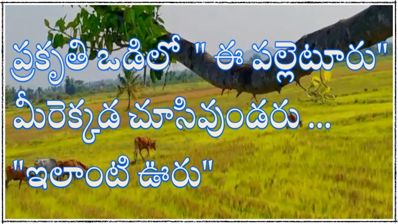 ప్రకృతి ఒడిలో 