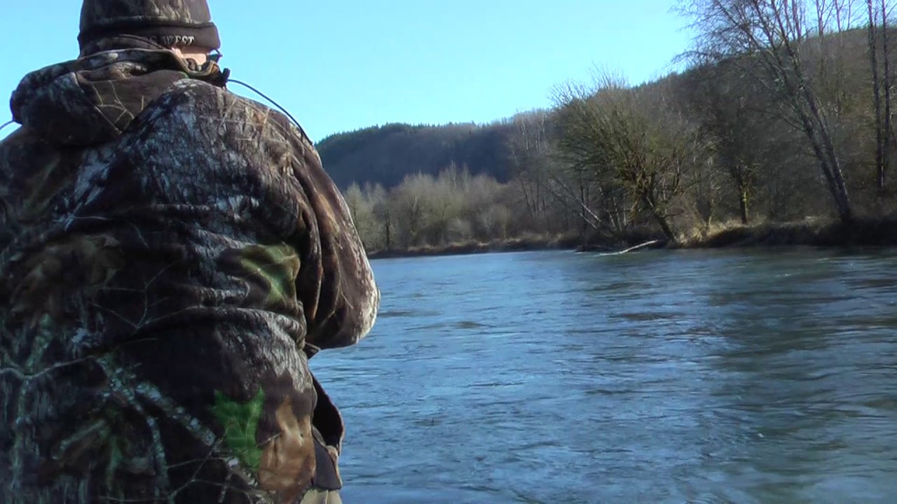 Steelhead fishing 2017 - Washington