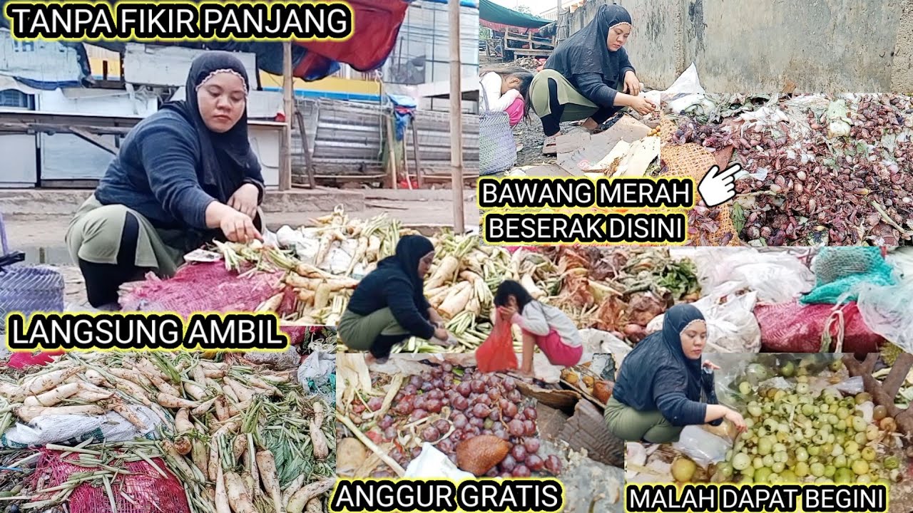 MELELES  SORE KALI KE2 DAPAT BAWANG MERAH HAMPIR 2KG LEBIH⁉️BUAT STOK DIMUSIM HUJAN