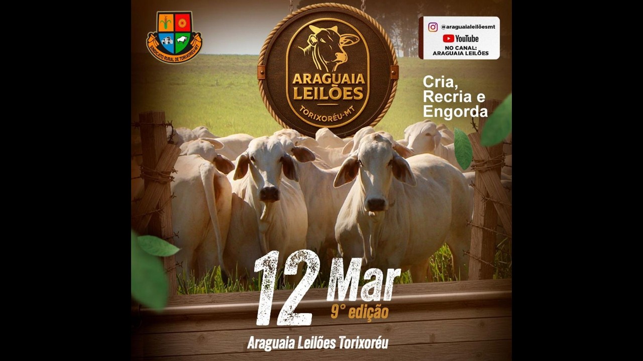 Araguaia leilões Torixoréu - MT  12/03/2026
