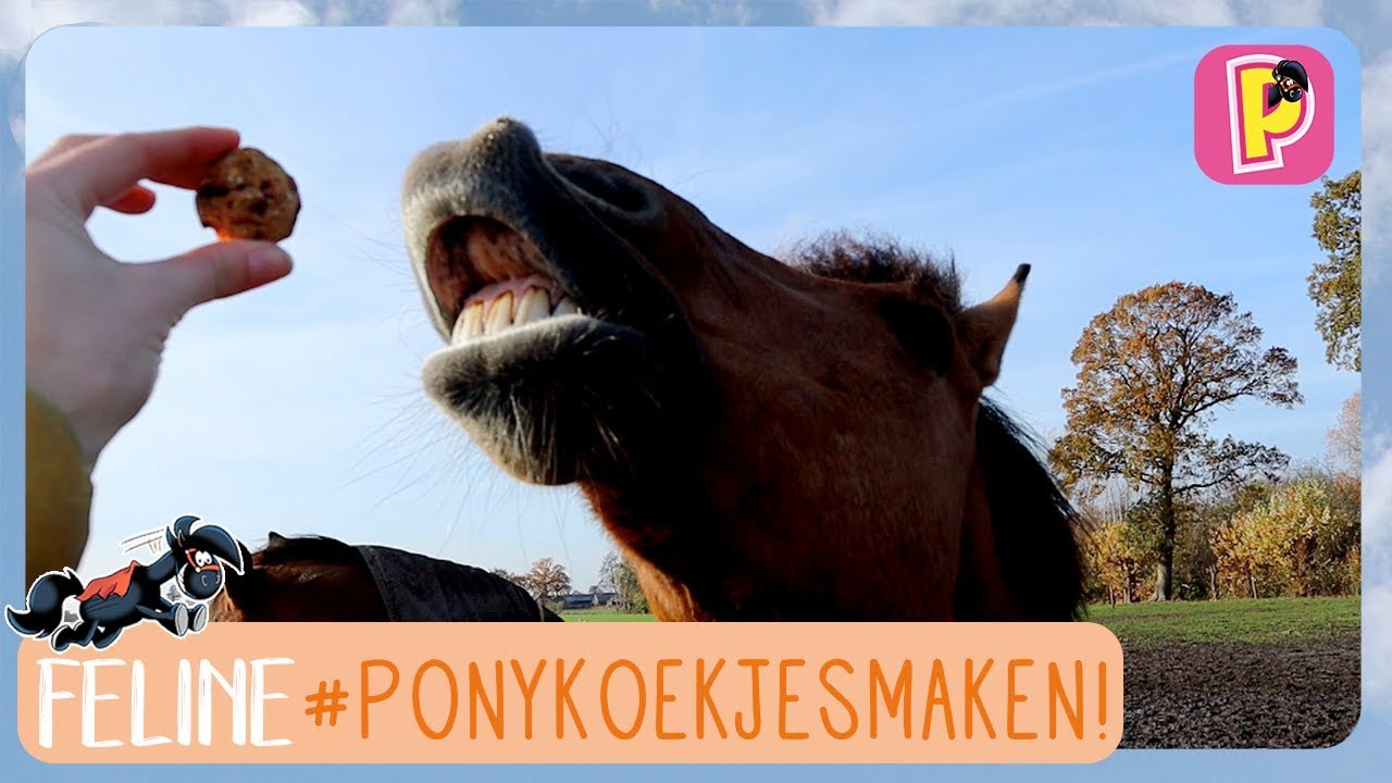 Ponykoekjes bakken | DIY | Feline | PennyTV