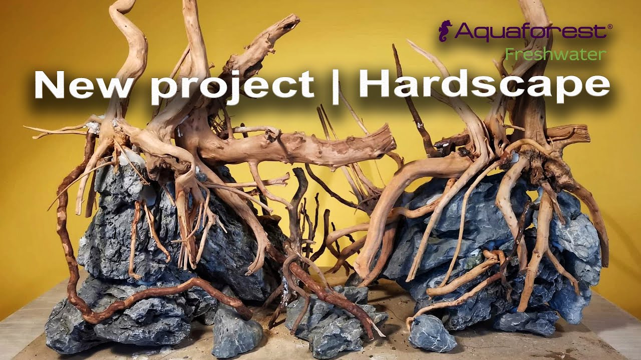117. Jak buduję hardscape? | Nowy projekt | AquaForest