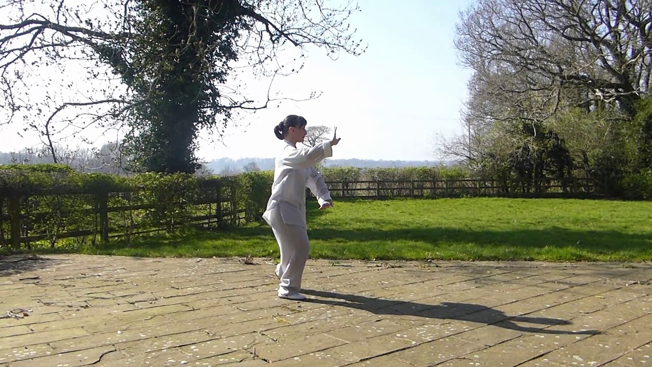 Five Animal Qigong -  Back View