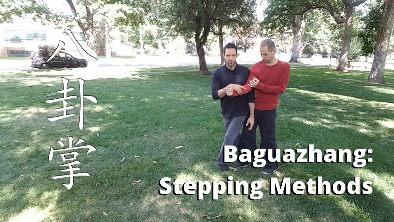 Baguazhang Stepping Methods 八卦掌 步法