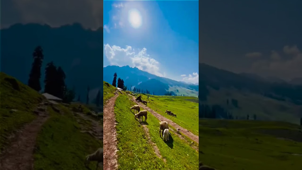 Nature of Kashmir ❤️#KashmirNature #BeautyofKashmir #NatureWonders4. #KashmirScenery  #shorts