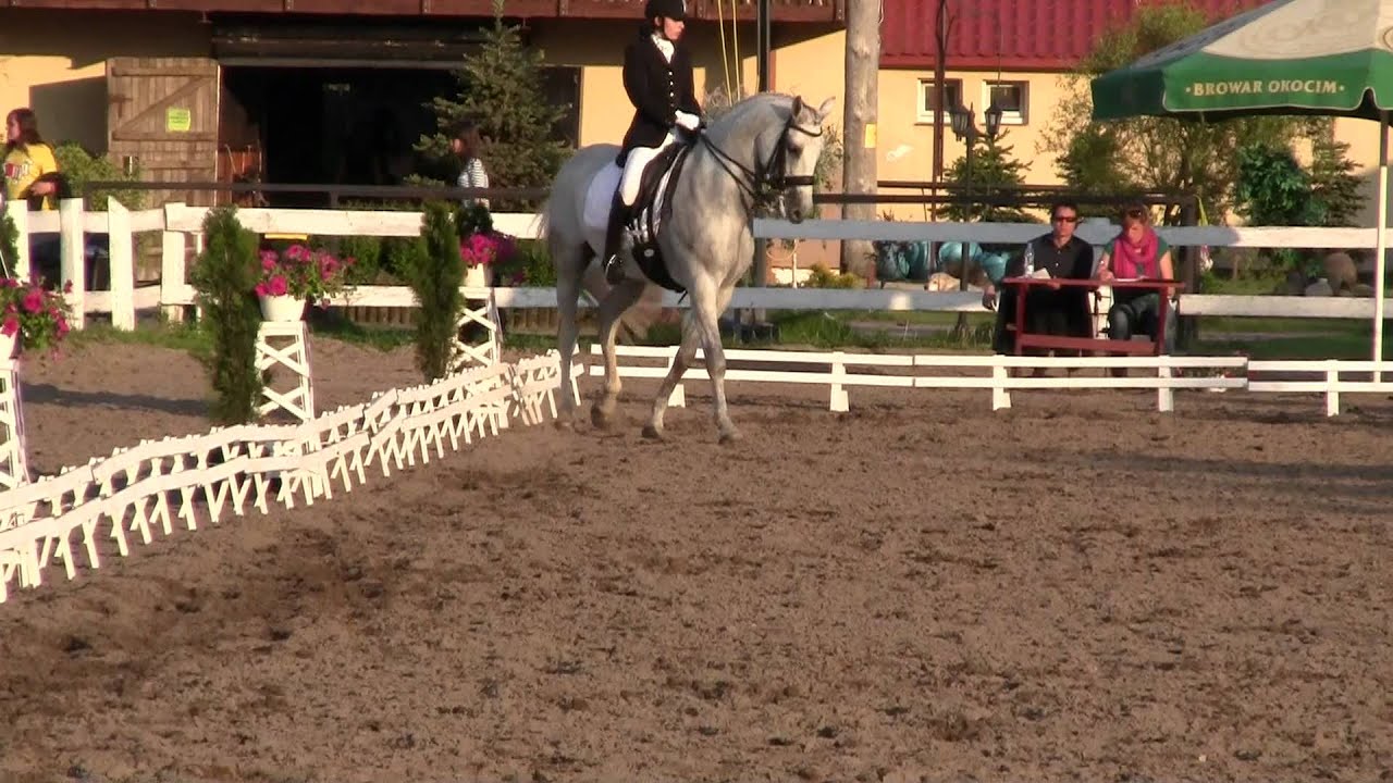 Zawody ujeżdżeniowe Camelot klasa C