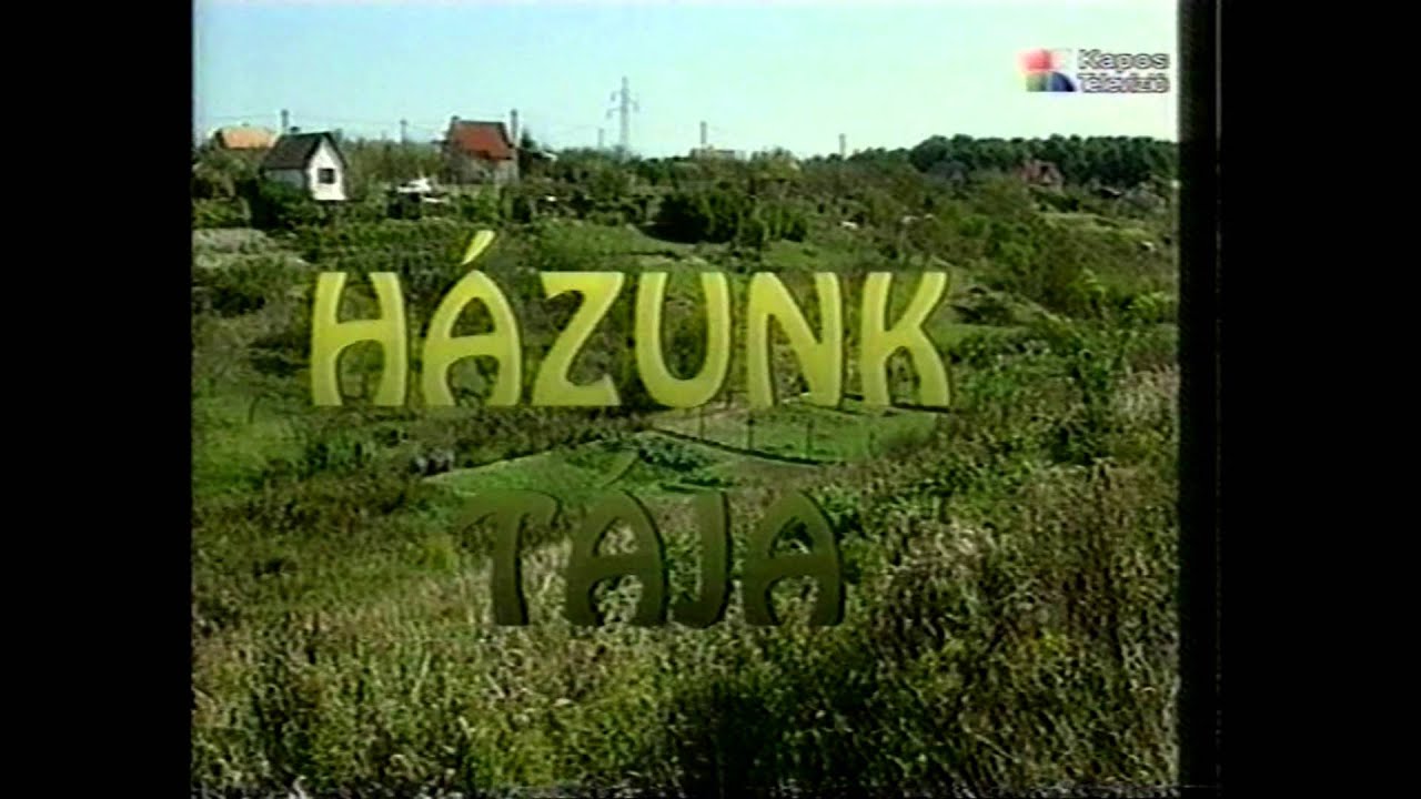 Metszési praktikák