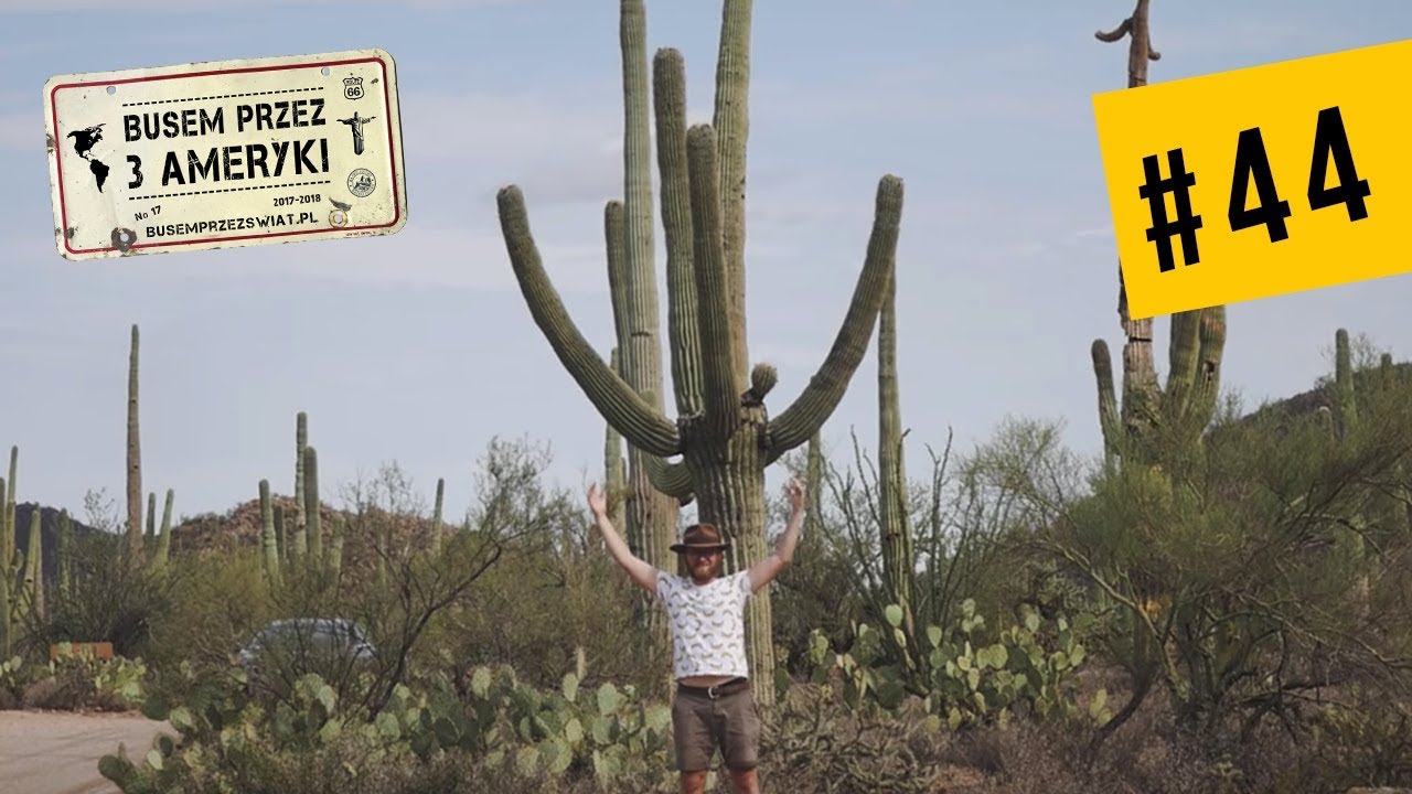 #44 Skąd pochodzą KAKTUSY? [Park Narodowy Saguaro]