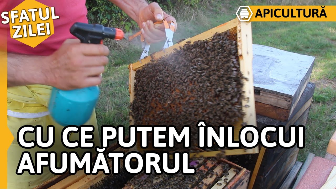 CU CE PUTEM ÎNLOCUI AFUMĂTORUL [Sfatul zilei]