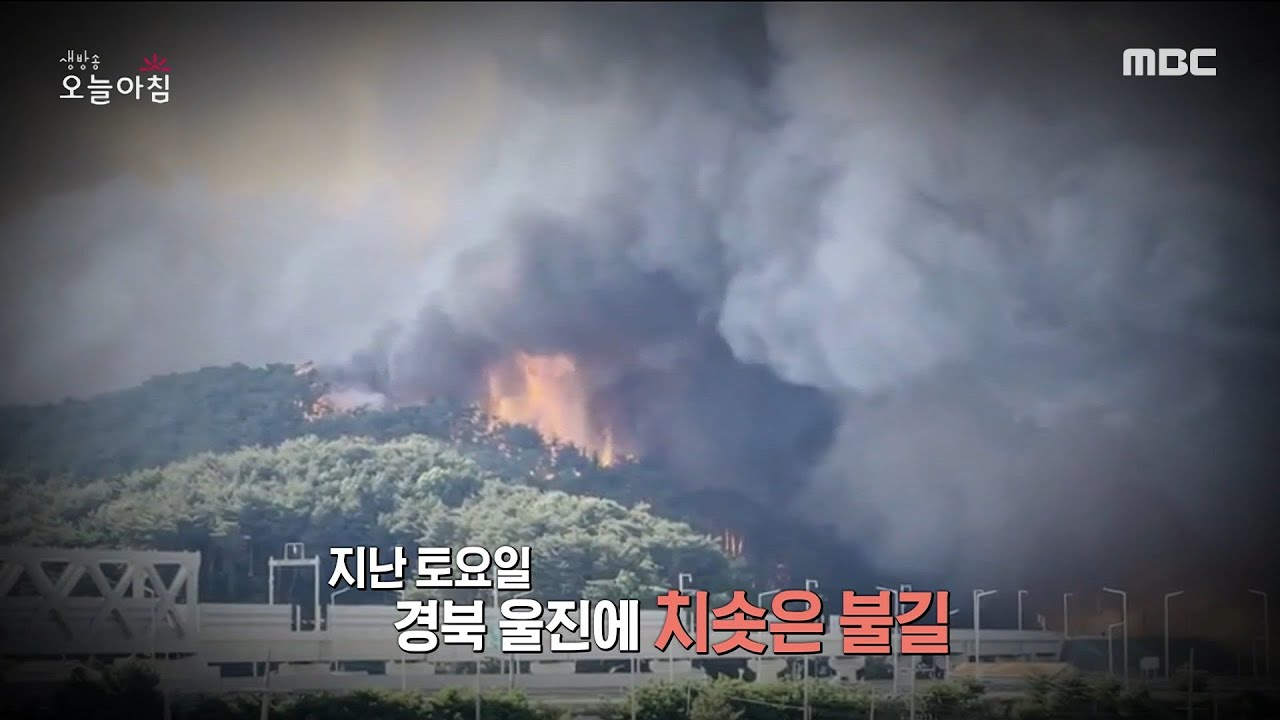 [생방송 오늘 아침] 23시간 만에 진화, 울진 산불 현장, MBC 220530 방송