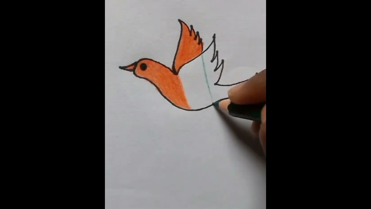 national flag bird drawing🇮🇳 #easydrawingforbeginners #easydrawingtutorial #viral #shorts #subscribe