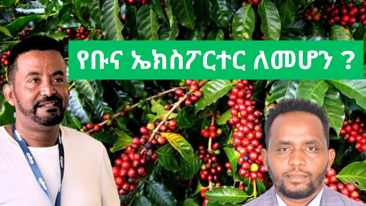 የቡና ኤክስፖርት ስራን መስራት እንዴት እንችላለን/Coffee Export Business In Ethiopia/ Ethiopian coffee business