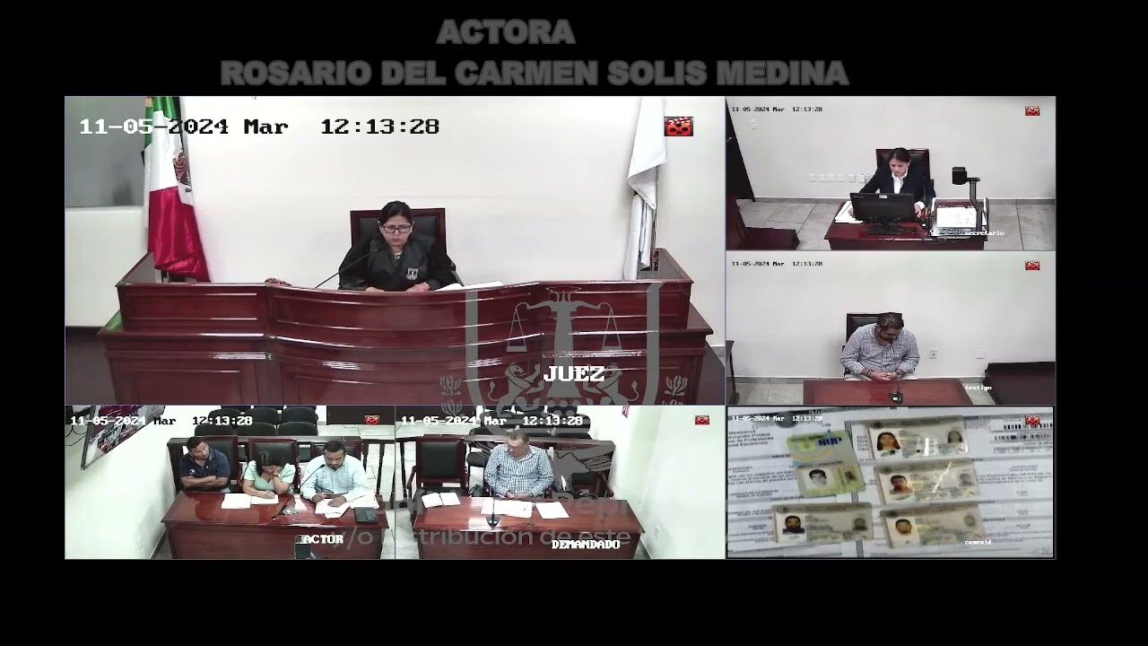 AUDIENCIA LABORAL ORAL