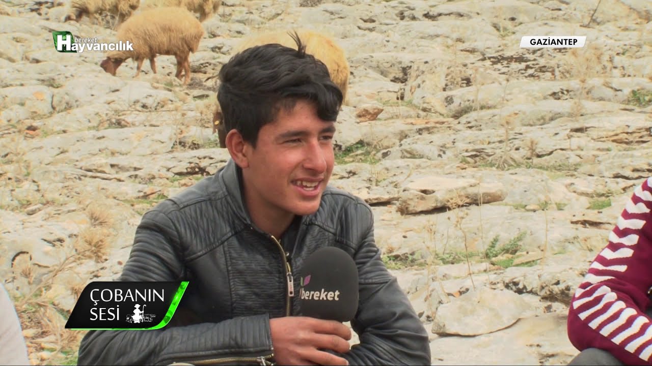@BereketTV  Çobanın Sesi - Gaziantep