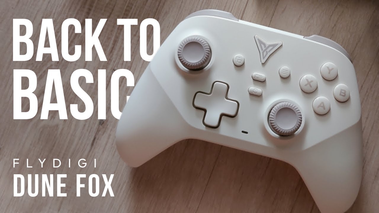 FLYDIGI DUNE FOX REVIEW INDONESIA