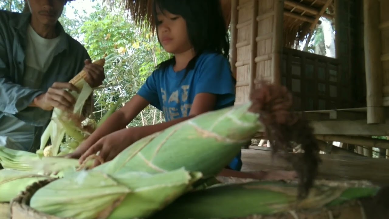 chicken corn soup story from seeds to table
