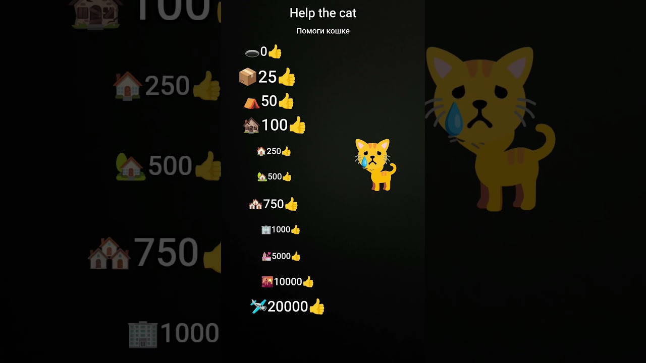 help the cat