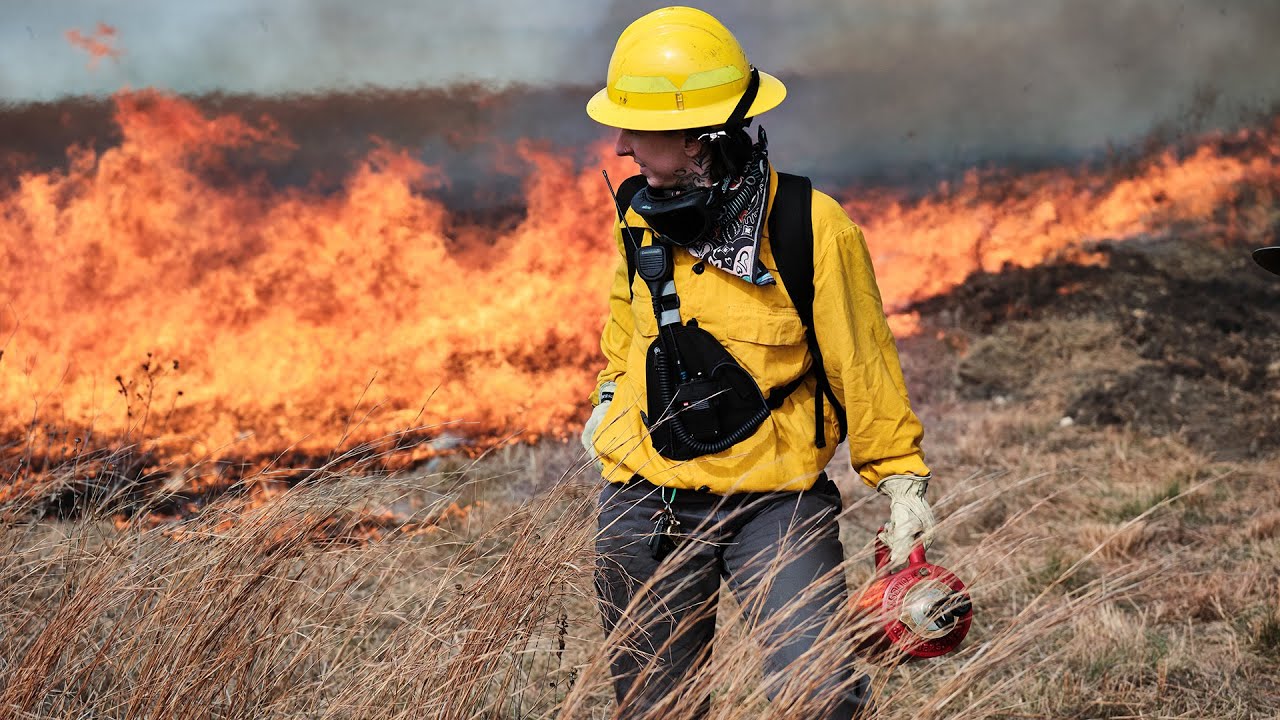 King Ranch Prescribed Burn