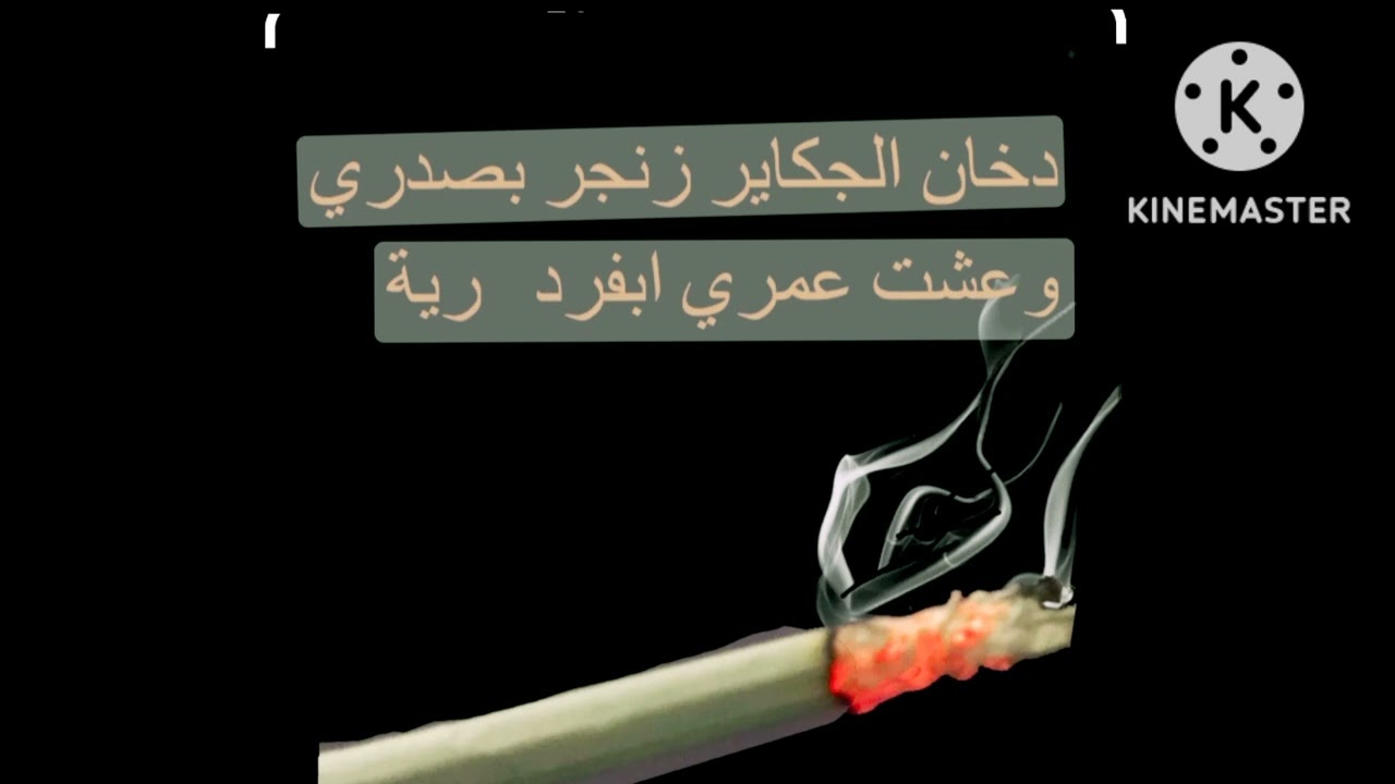 الفنان منتصر البصراوي عله ضهر الكاره خله تحذير موال حزين 2023 ونين يوجع الكلب