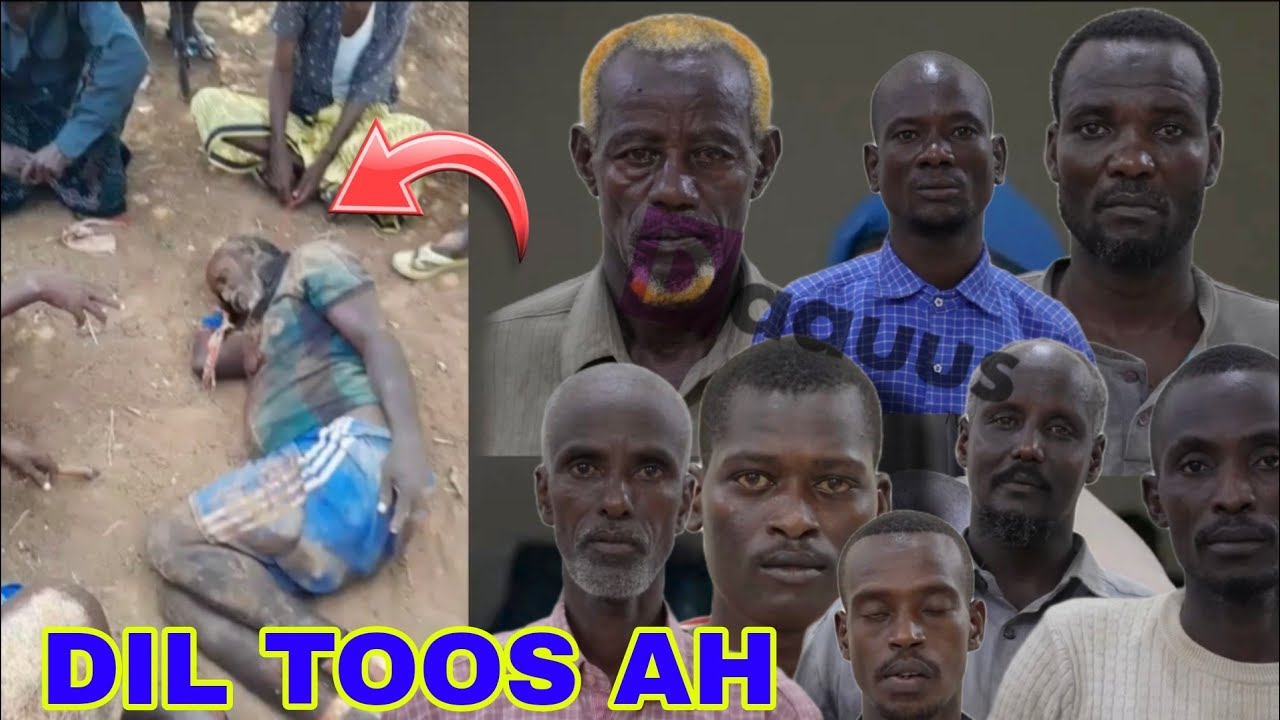 TOOS: Waayeel Aano qabiil loo gubay Kiiskii ugu Yaabka badnaa ee Maxkamada la keeno...