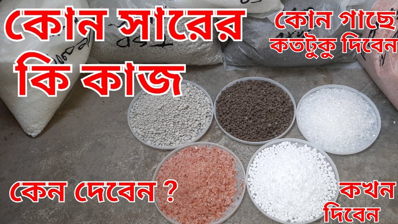 কোন সার কি কাজ করে | কোন সার কখন দিবেন | Urea,DAP, Magnessium Sulphate,Potash, & TSP সার কি কাজ করে?