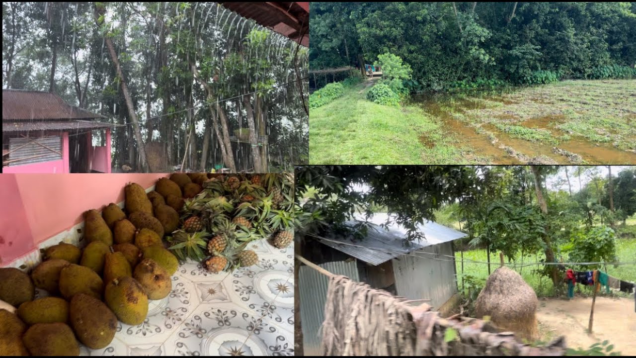 Day 8 in Sylhet Bangladesh