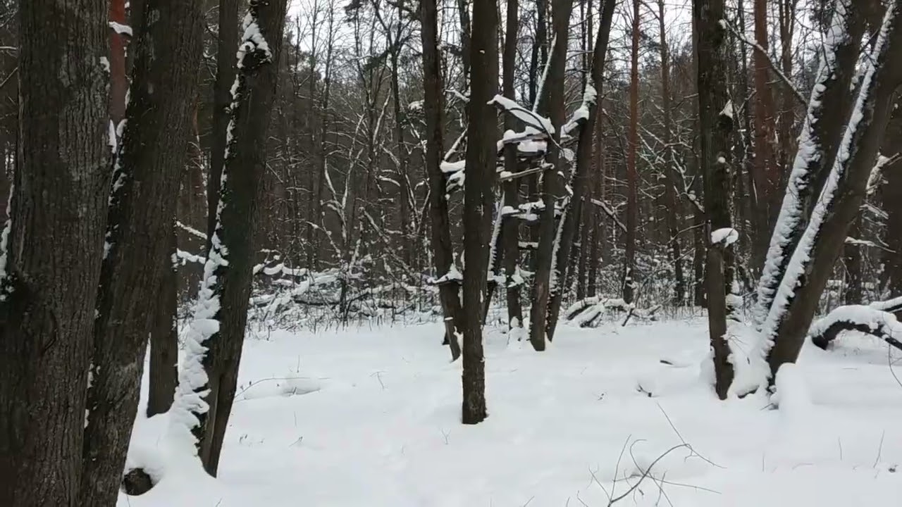 Есть вторая пятёрка!