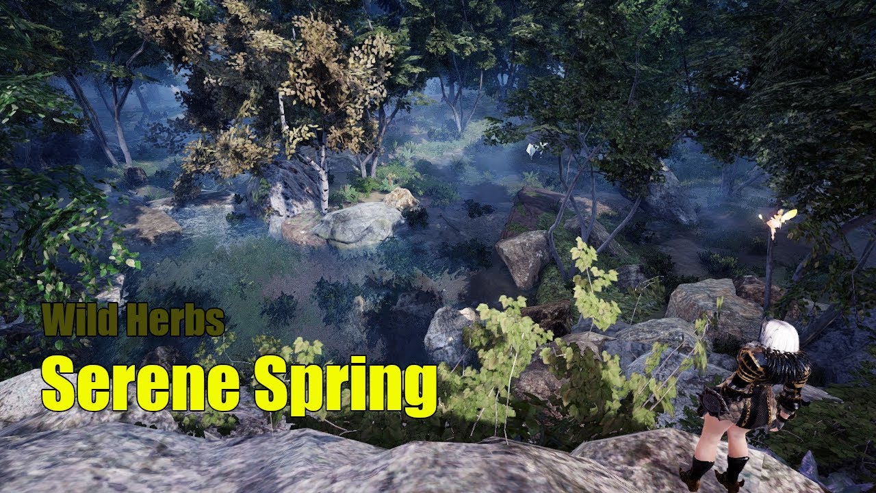 Wild herbs at Serene Spring Balenos | Black Desert Online