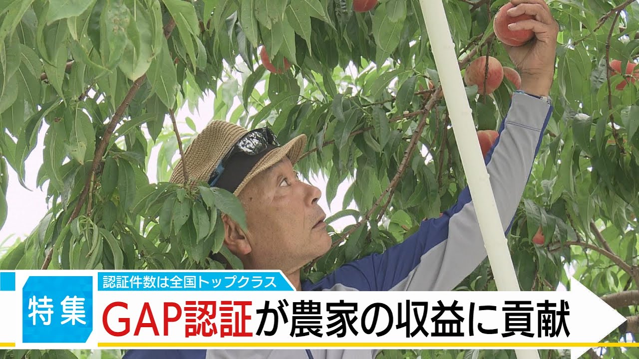 なぜGAP認証が収益に～県は2017年から「ふくしま。GAPチャレンジ宣言」を行い、認証取得に力を入れてきた～