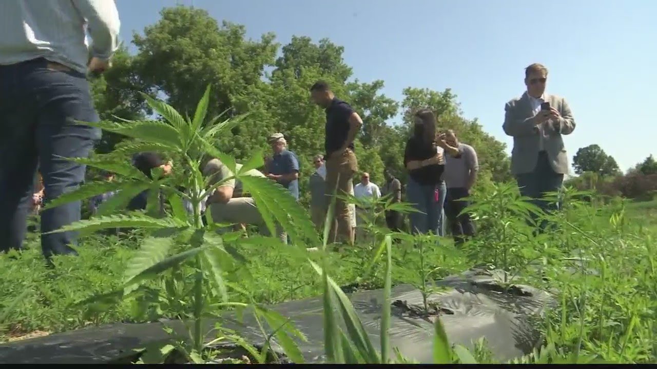 Cannabis industry tour makes stop in Schoharie County