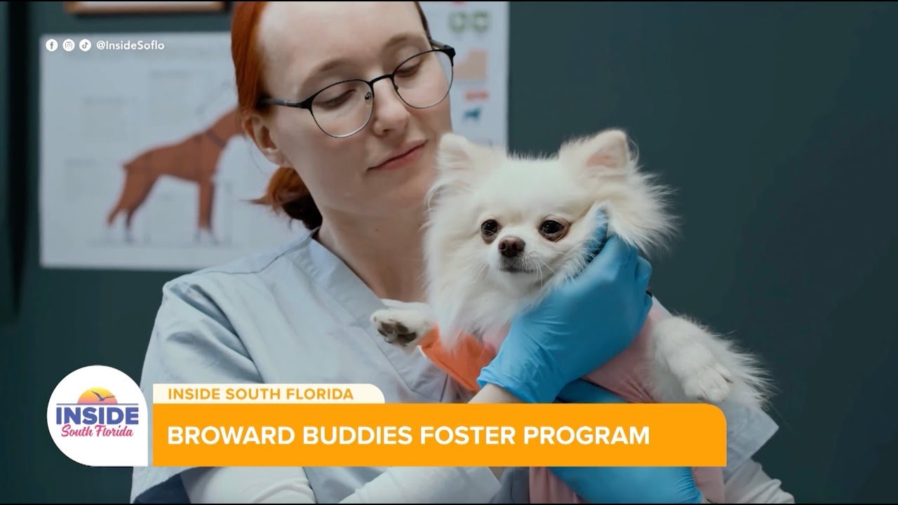 Broward County Animal Care Urges Community Action as Shelters Face Critical Overcrowding