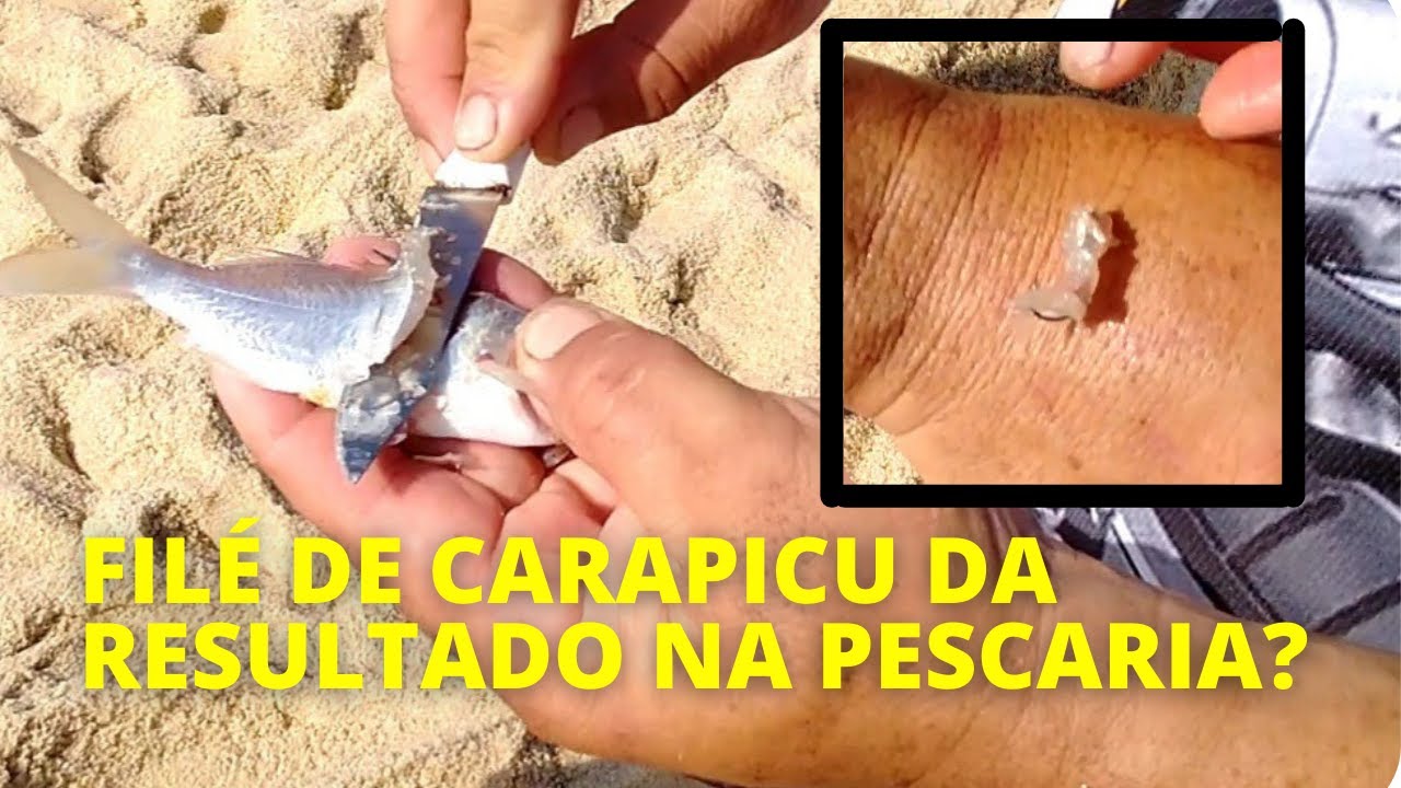 FILE DE CARAPICU SALVOU A PESCARIA? | PAPATERRA, RONCADOR, RISCADINHO, PAMPO E GGALHUDO ENCOSTOU!!!
