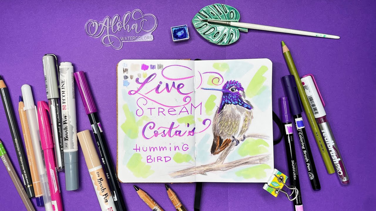 💟  How to draw a hummingbird 🐦 Brushpen, colored pencil & metallic watercolor | Paint with me LIVE