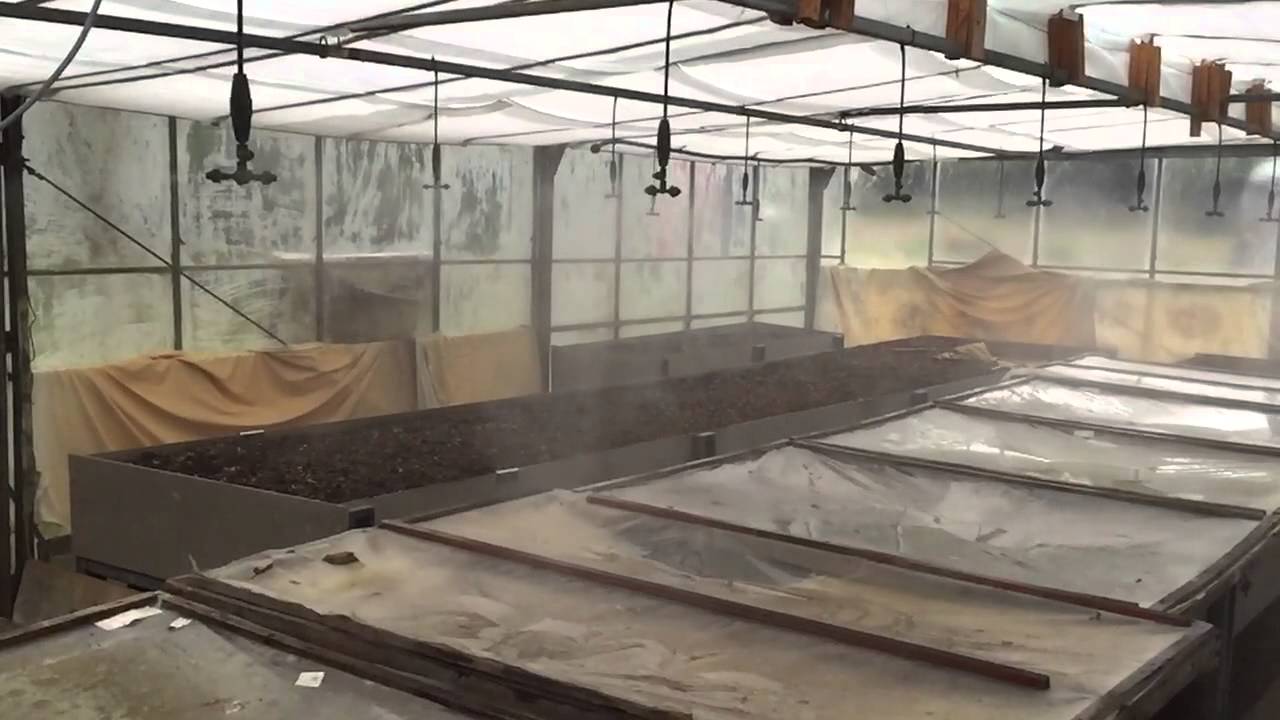 Rūko purk&scaron;tukai