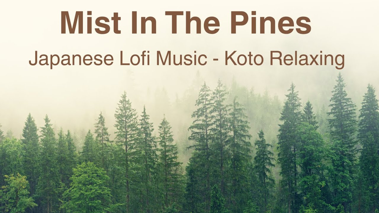 Mist In The Pines - Japanese Lofi Music - Koto Relaxing #music #koto #lofi #relaxingmusic #pine