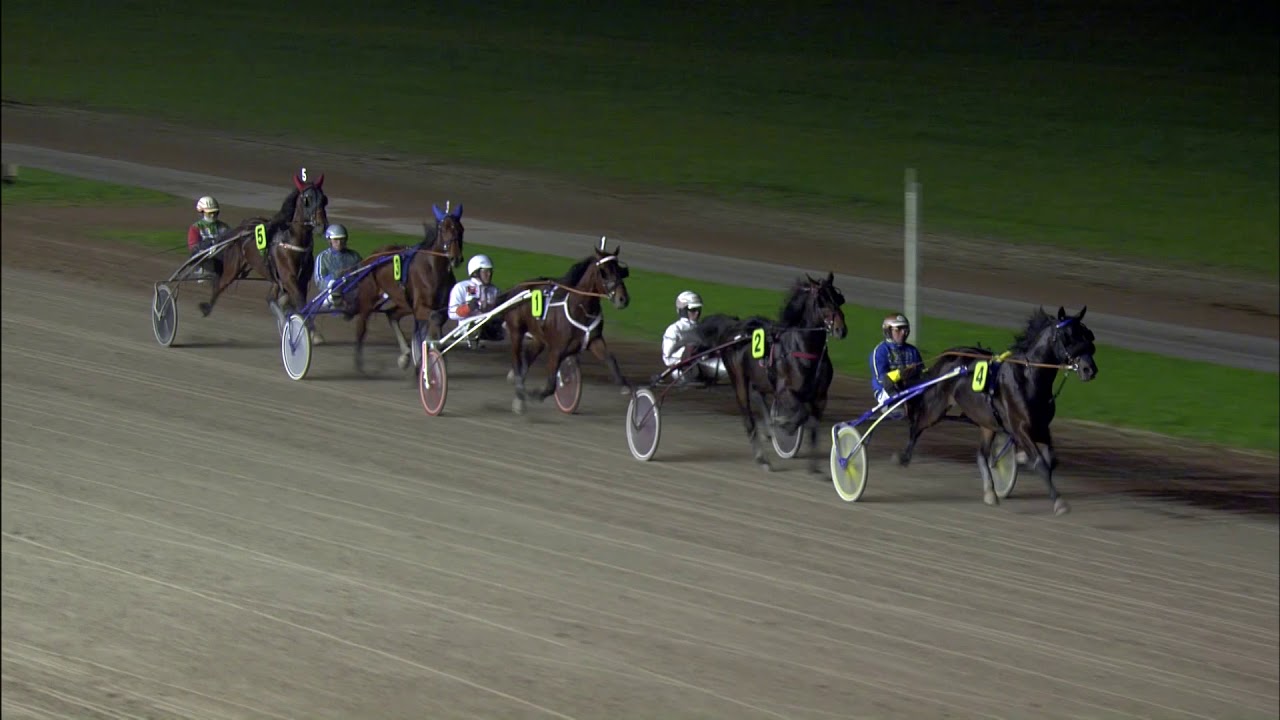 Victoria Park Wolvega 15-11-2019 Koers 9 Keytowin Starro - Hugo Langeweg jr
