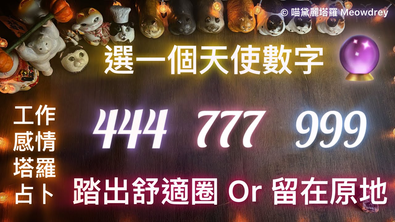 塔羅占卜🔮宜踏出舒適圈，還是留在原地？ 換工作｜感情發展｜宇宙訊息   #喵黛麗塔羅 