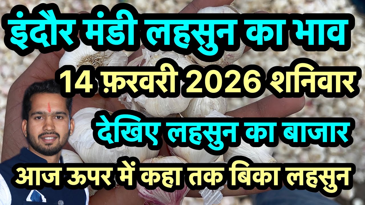 14 February 2026 indore Mandi Lahsun ka bhav 