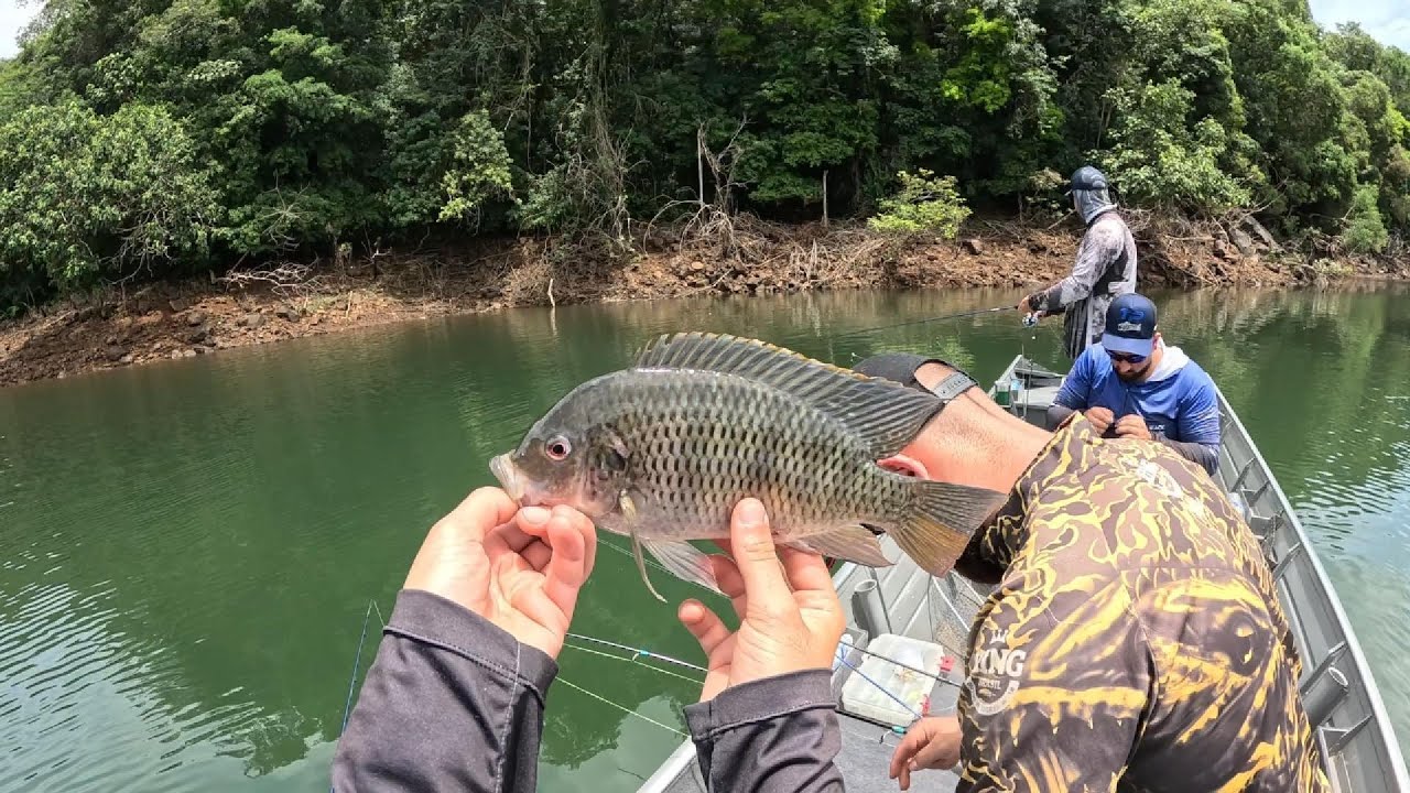 PESCARIA  de TILAPIA na ISCA ARTIFICIAL- SALTO SANTIAGO