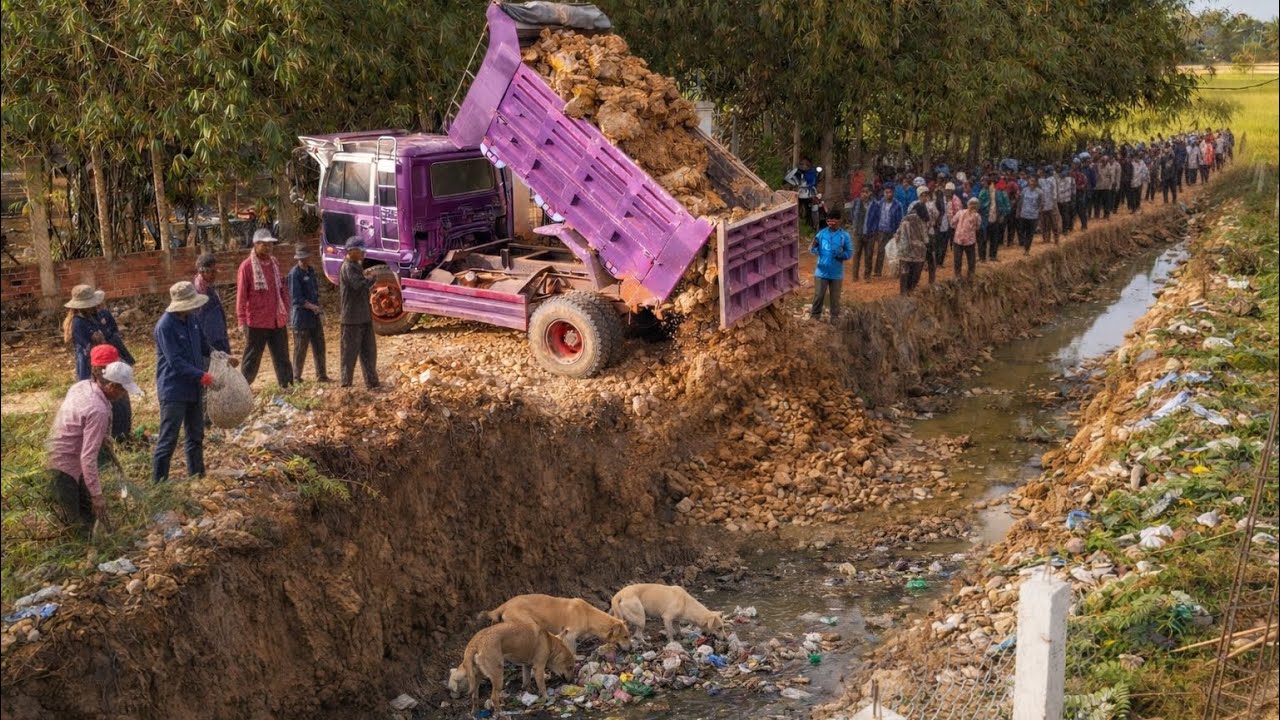 First Start New Project, Filling Up Land Huge,Bulldozers D20P Pushing Soil & Dump Trucks Unloading 