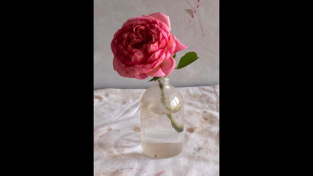 Flower Painting Challenge - Can you mix these intense pinks? - Live Oil Painting demonstration