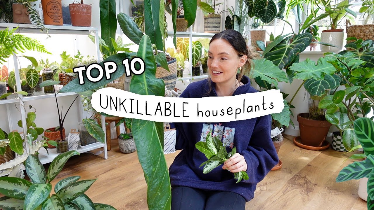 These Plants Refuse To Die 🌿 10 UNKILLABLE Houseplants