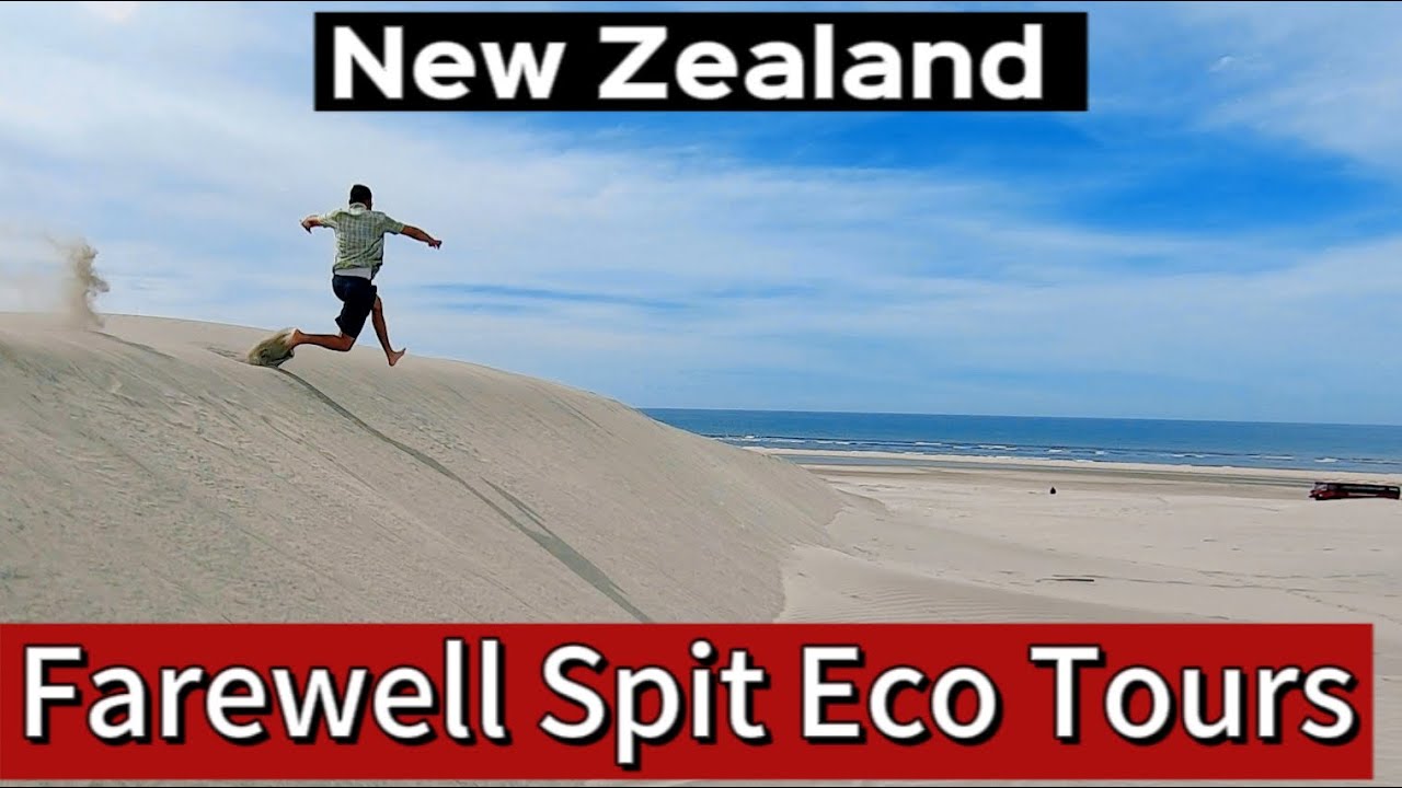 Farewell Spit Eco Tours Collingwood New Zealand