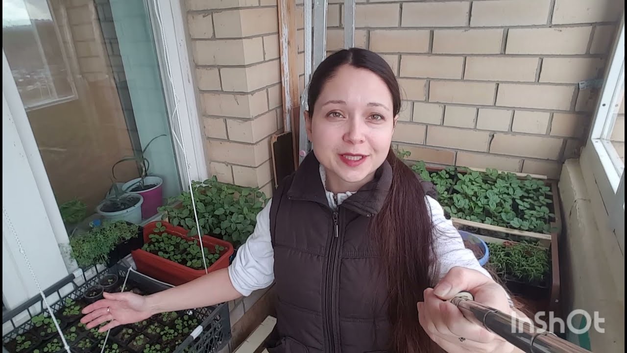 ЧУДО БАЛКОН. РАССАДА 2021